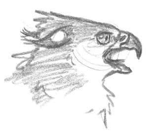 Pencil drawing of angry gryphon