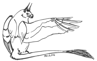 Wing extended gryphon drawing